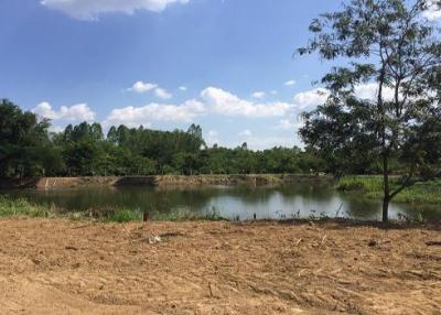 Land for sale 1-0-66 rai behind the pond near U-Tapao Airport, Sattahip, Chonburi.