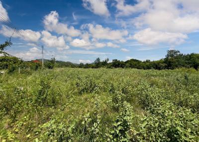 5 Rai Land Plot At Palm Hills For Sale