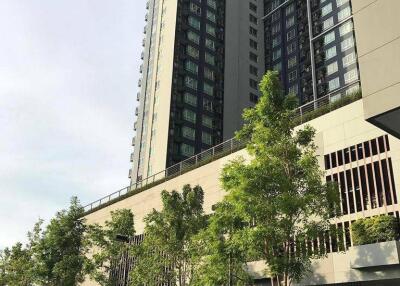 1-BR Condo at The Base Sukhumvit 77 near BTS On Nut