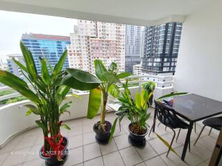 For RENT : Regent on the Park 1 / 3 Bedroom / 3 Bathrooms / 250 sqm / 70000 THB [10907898]