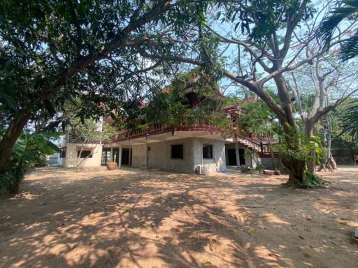 House for investment Large land 1.67 Rai located on Bangsalay