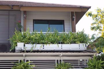 3 bed House in Pruksa Ville 73 - Pattanakarn Suanluang District H019871