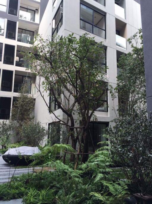 1 bed Condo in LIV@49 Khlong Tan Nuea Sub District C019182