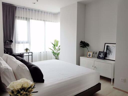 1 bed Condo in Life One Wireless Lumphini Sub District C016133