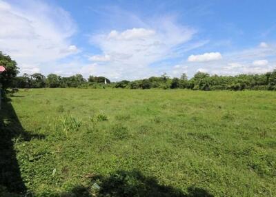 DEVELOPMENT POTENTIAL - Over 10 Rai of rice fields for sale at Ban Waen, Hang Dong