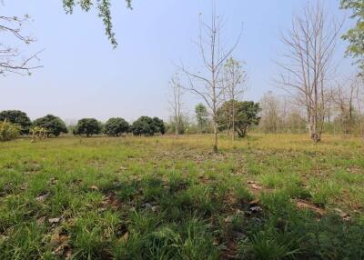 Land plot in tranquil Nam Phrae