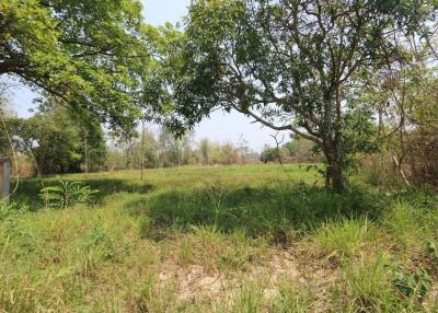 Land plot in tranquil Nam Phrae