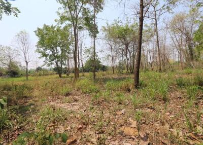 Land plot in tranquil Nam Phrae