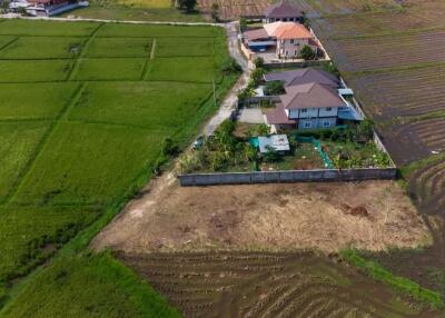 Bldg Plot for Sale at San Pu Loei : Doi Saket