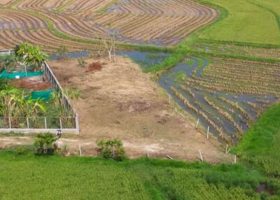 Bldg Plot for Sale at San Pu Loei : Doi Saket