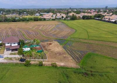 Bldg Plot for Sale at San Pu Loei : Doi Saket