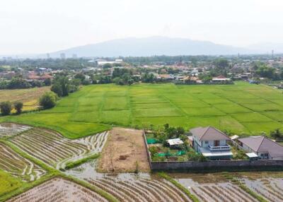 Bldg Plot for Sale at San Pu Loei : Doi Saket