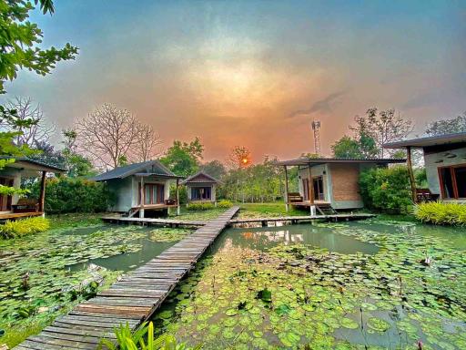 5 Villa Resort & Restaurant For Sale Or Rent in San Kamphaeng