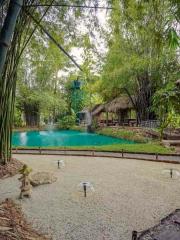 5 Villa Resort & Restaurant For Sale Or Rent in San Kamphaeng