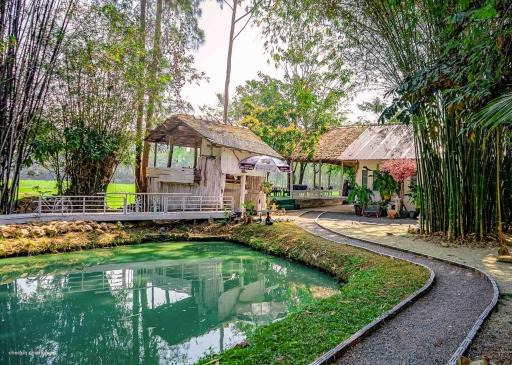 5 Villa Resort & Restaurant For Sale Or Rent in San Kamphaeng