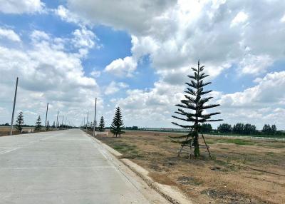 For Sale Pathum Thani Land Lam Luk Ka