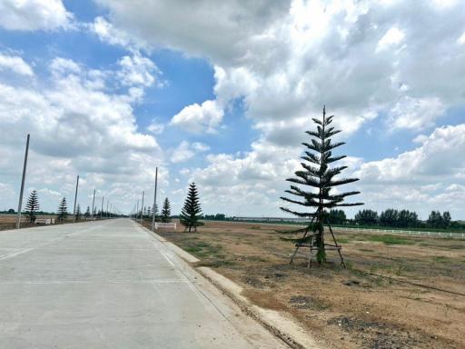 For Sale Pathum Thani Land Lam Luk Ka