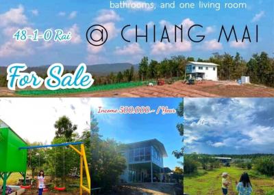 Dates And Cocoa Fram & Vacation House For sale @chiangmai Income 500,000 / Year