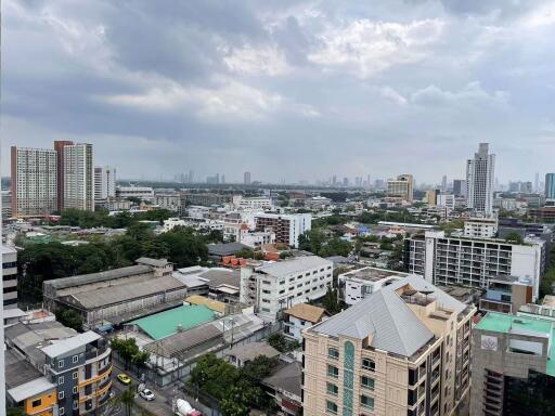 2 bed Condo in Siamese Exclusive Sukhumvit 42 Phra Khanong Sub District C020246