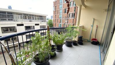 Large Affordable Condo Sukhumvit 49