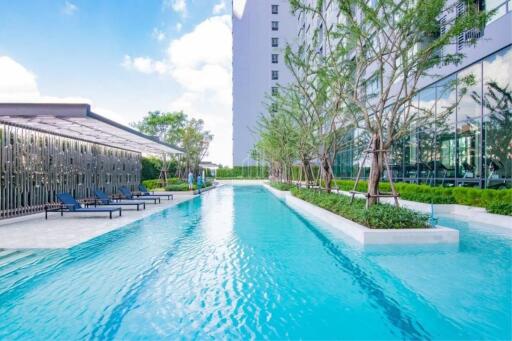 For Rent 1 Bed Condo Ideo Sukhumvit 93 next to BTS Bang Chak