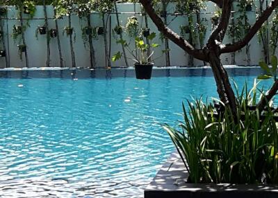 1-BR Condo at The Room Sukhumvit 62 near BTS Punnawithi (ID 34511)