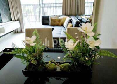 Apus Condo for Sale in Central Pattaya