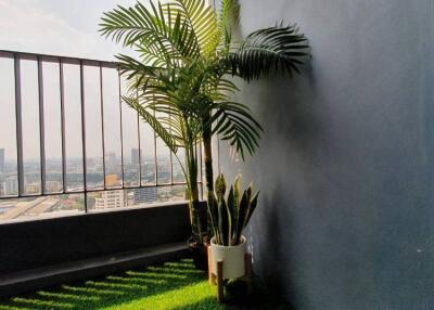 1-BR Condo at Ideo Mobi Sukhumvit 66 near BTS Udom Suk