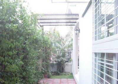 3-BR Townhouse in Bang Na Tai