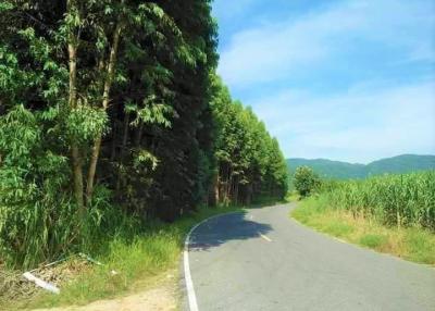 Land For sale In Bangsean