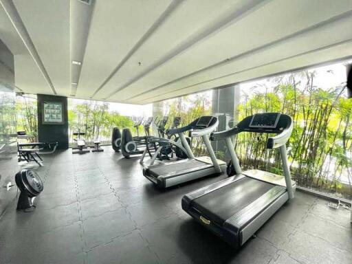 For Sale and Rent Bangkok Condo Aequa Sukhumvit 49 Sukhumvit 49 BTS Thong Lo Watthana