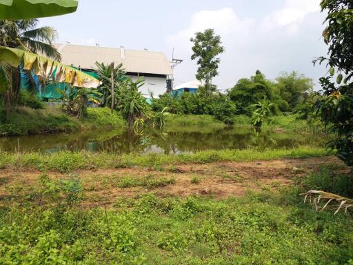 Land for sale in Huay Yai