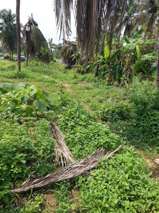 Land for sale in Huay Yai