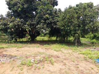 Land for sale in Huay Yai