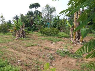 Land for sale in Huay Yai