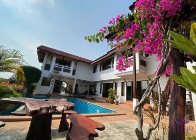 Large property on 4+ rai land for sale 6 bedrooms near Mae Jo University Sansai Chiangmai