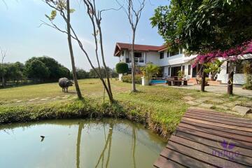 Large property on 4+ rai land for sale 6 bedrooms near Mae Jo University Sansai Chiangmai