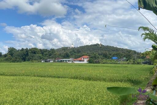 Established farm with fruit trees, flowering trees, fish pond and rice field. Water and electricity ready in Doi Saket countryside , Chiang Mai