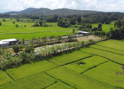 Established farm with fruit trees, flowering trees, fish pond and rice field. Water and electricity ready in Doi Saket countryside , Chiang Mai