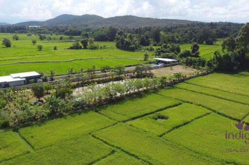 Established farm with fruit trees, flowering trees, fish pond and rice field. Water and electricity ready in Doi Saket countryside , Chiang Mai