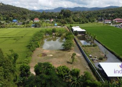 Established farm with fruit trees, flowering trees, fish pond and rice field. Water and electricity ready in Doi Saket countryside , Chiang Mai