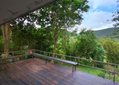 Beautiful Property with 2 houses with wonderful mountain and valley view in Sankampheng, Chiang Mai