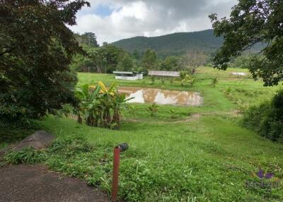 Beautiful Property with 2 houses with wonderful mountain and valley view in Sankampheng, Chiang Mai