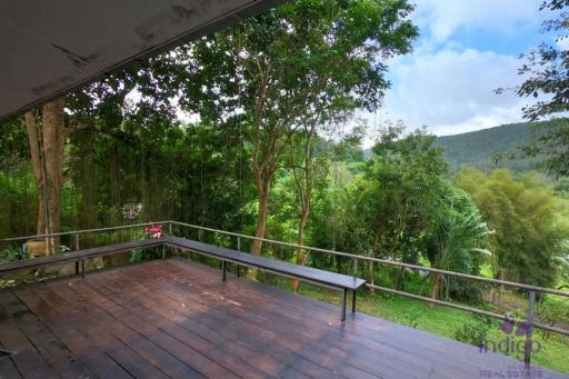 Beautiful Property with 2 houses with wonderful mountain and valley view in Sankampheng, Chiang Mai
