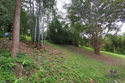 Beautiful Property with 2 houses with wonderful mountain and valley view in Sankampheng, Chiang Mai