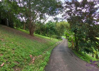 Beautiful Property with 2 houses with wonderful mountain and valley view in Sankampheng, Chiang Mai