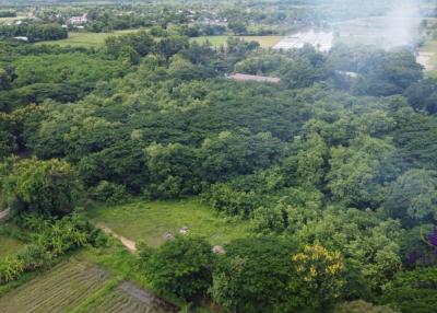 Land for sale in a semi-rural area in Doi Saket. Only 3,000 baht/wah.