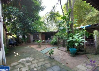 Beautiful Thai teak home on a 2 rai property in Doi Saket. Ideal for a homestay / bed and breakfast business.