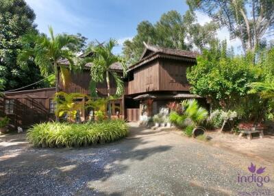 Beautiful Thai teak home on a 2 rai property in Doi Saket. Ideal for a homestay / bed and breakfast business.