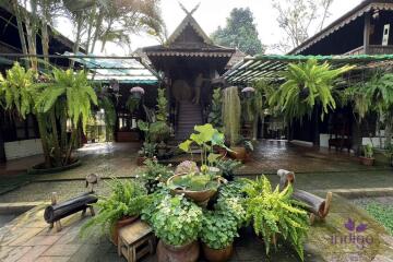 Beautiful Thai teak home on a 2 rai property in Doi Saket. Ideal for a homestay / bed and breakfast business.
